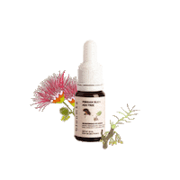 Bloomers Eyeserum Sticker by The Bath Box
