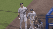 New York Yankees Baseball GIF by Jomboy Media