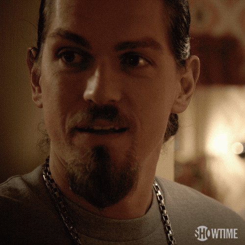 season 3 showtime GIF by Shameless