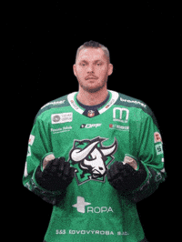 Hockey Bulls GIF by HC Nove Zamky