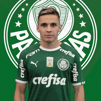 Palmeiras happy soccer joy futebol GIF