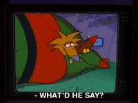 nickrewind nicksplat angry beavers GIF