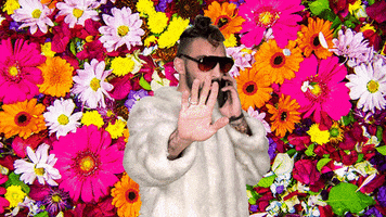 GIF by MAGIC GIANT