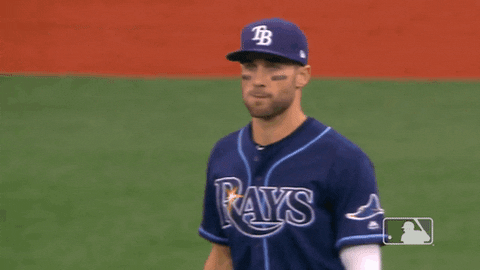 major league baseball 2019 mlb regular season GIF by MLB