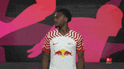 Rb Leipzig Leave GIF by Bundesliga