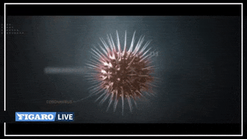 GIF by Le Figaro
