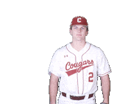 Cofcbaseball Sticker by #TheCollege