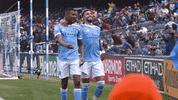 GIF by NYCFC