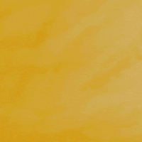 surprise GIF by NT
