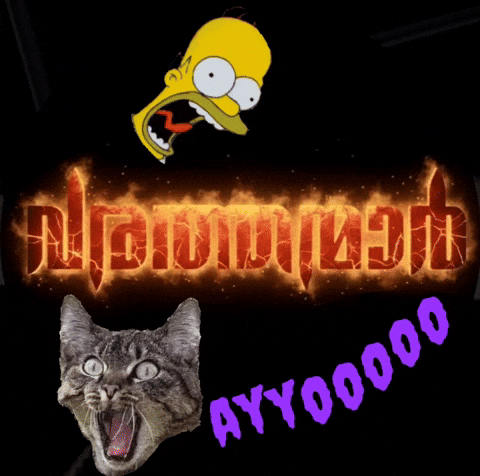 Cat Fire GIF