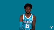 Sport Yes GIF by Charlotte Hornets