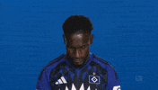 Look Up Hamburger Sv GIF by Bundesliga