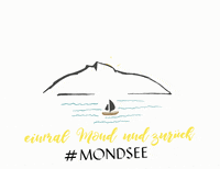 Tourismusverband_MondSeeLand see sommer urlaub natur GIF