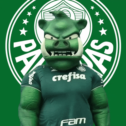bravo good job GIF by SE Palmeiras