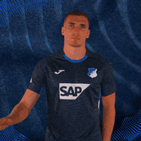 Hallo Grischa Prömel GIF by TSG Hoffenheim