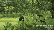 bbc one GIF by BBC