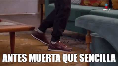 GIF by Imagen Televisión