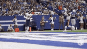 Chicago Bears Football GIF by NFL