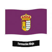 Flag Spain Sticker by Formación Ninja