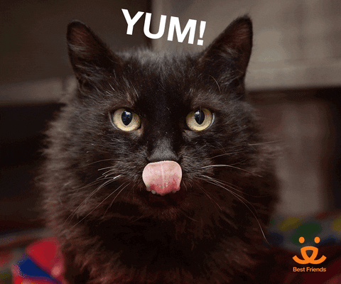 Photo gif. A long-haired black cat stares at us as its tongue periodically pops out along with text that says, "yum, yum, yum."