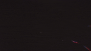 savages GIF by RØYLS