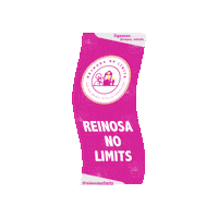 Mtb Bandera Sticker by ReinosaNoLimits