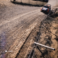 Speed Motorsport GIF by FIA World Rally Championship