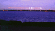 Chill Dope GIF