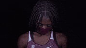 Littlerockxc2020 GIF by Little Rock Athletics
