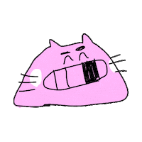 Gatos Sticker by Cartoon Network Brasil