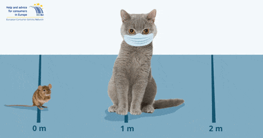 GIF by European Consumer Centre Poland