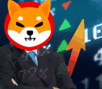 Shiba GIF by SHIB MEMES