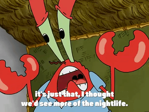 season 3 the great snail race GIF by SpongeBob SquarePants