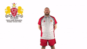CaseySouthMelbourneCC swans csmcc caseysouthswans GIF