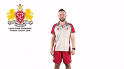 CaseySouthMelbourneCC swans csmcc caseysouthswans GIF