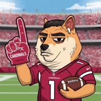 Arizona Cardinals Football GIF by Doge Pound
