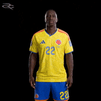 Fifa World Cup Colombia GIF by Respective