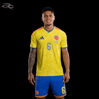 Fifa World Cup Colombia GIF by Respective