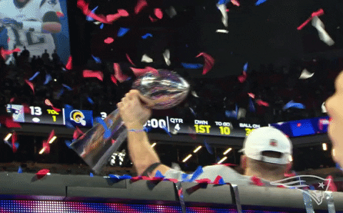 GIF by New England Patriots