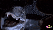Jurassic Park GIF by Vidiots