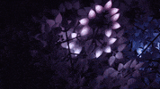 art wow nature artist amazing GIF