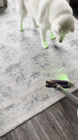 Jump Vacuum GIF