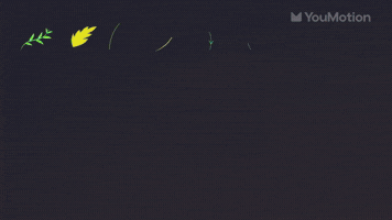 Animated Animated Flowers