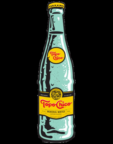 TopoChicoUSA giphygifmaker giphyattribution water choco GIF