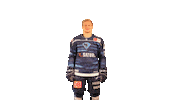 ercingolstadt hockey swipe up swipe erc Sticker