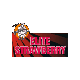 Strawberry Carpfishing Sticker by ImperialBaits