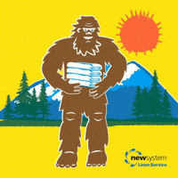 Oregon Laundry GIF by NewSystemLaundry