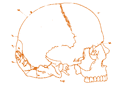 Silverstein Sticker by unfdcentral