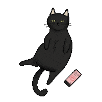 Cat Carola Ilustracoes Sticker by Carol Fernandes