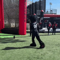 Fail Field Goal GIF by Bearcat
